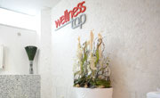 Wellnesstop Kladno - studio